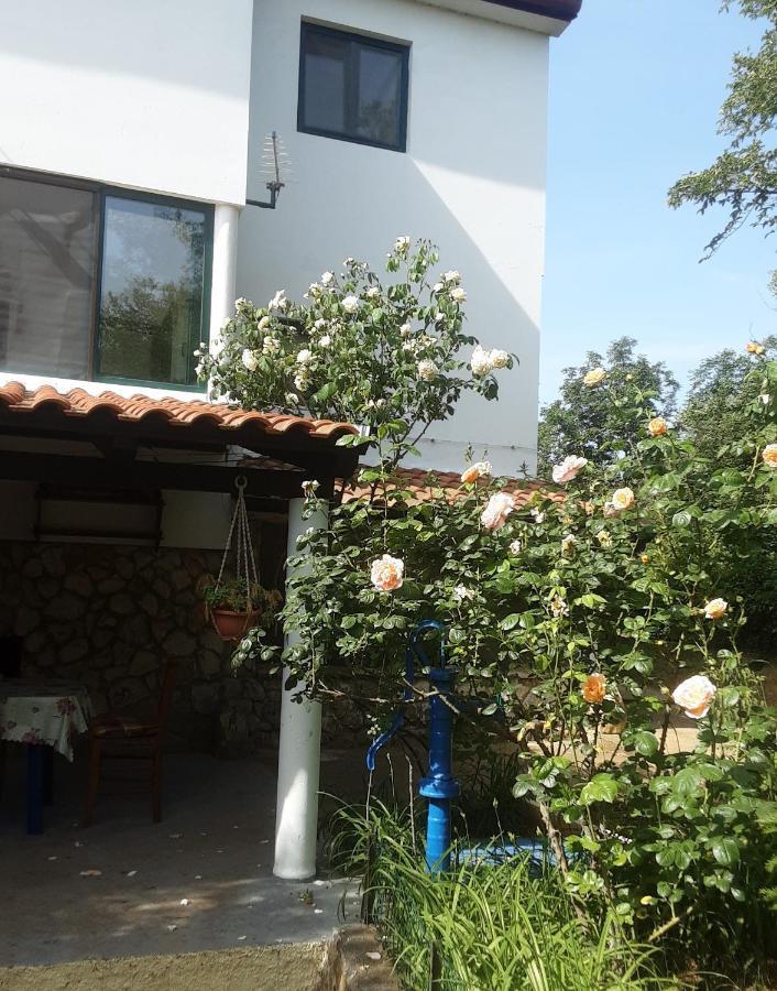 Apartments Nena 3* Ližnjan Eksteriør billede